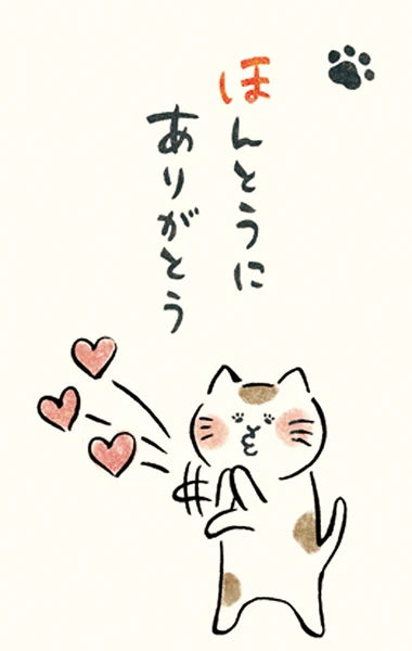 Furukawa Shiko Envelope Iyashi Neko Pochibukuro