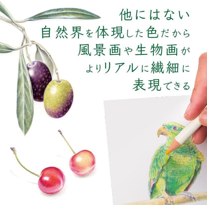 Tombow IROJITEN Colored Pencil 30-Color Set - Volume 2